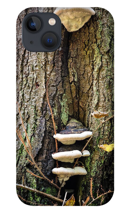 Mushrooms on the tree - Phone Case