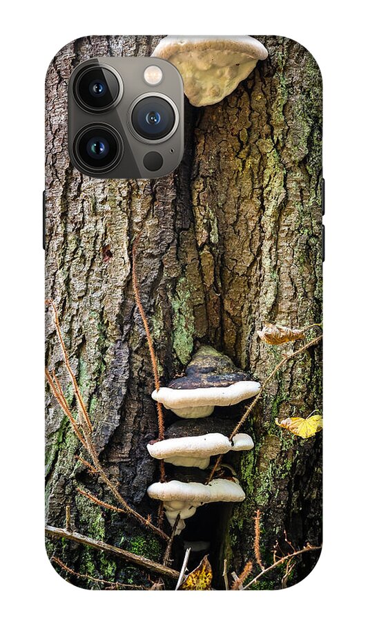 Mushrooms on the tree - Phone Case
