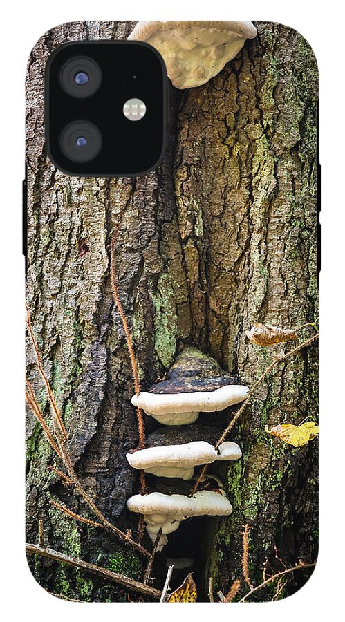 Mushrooms on the tree - Phone Case