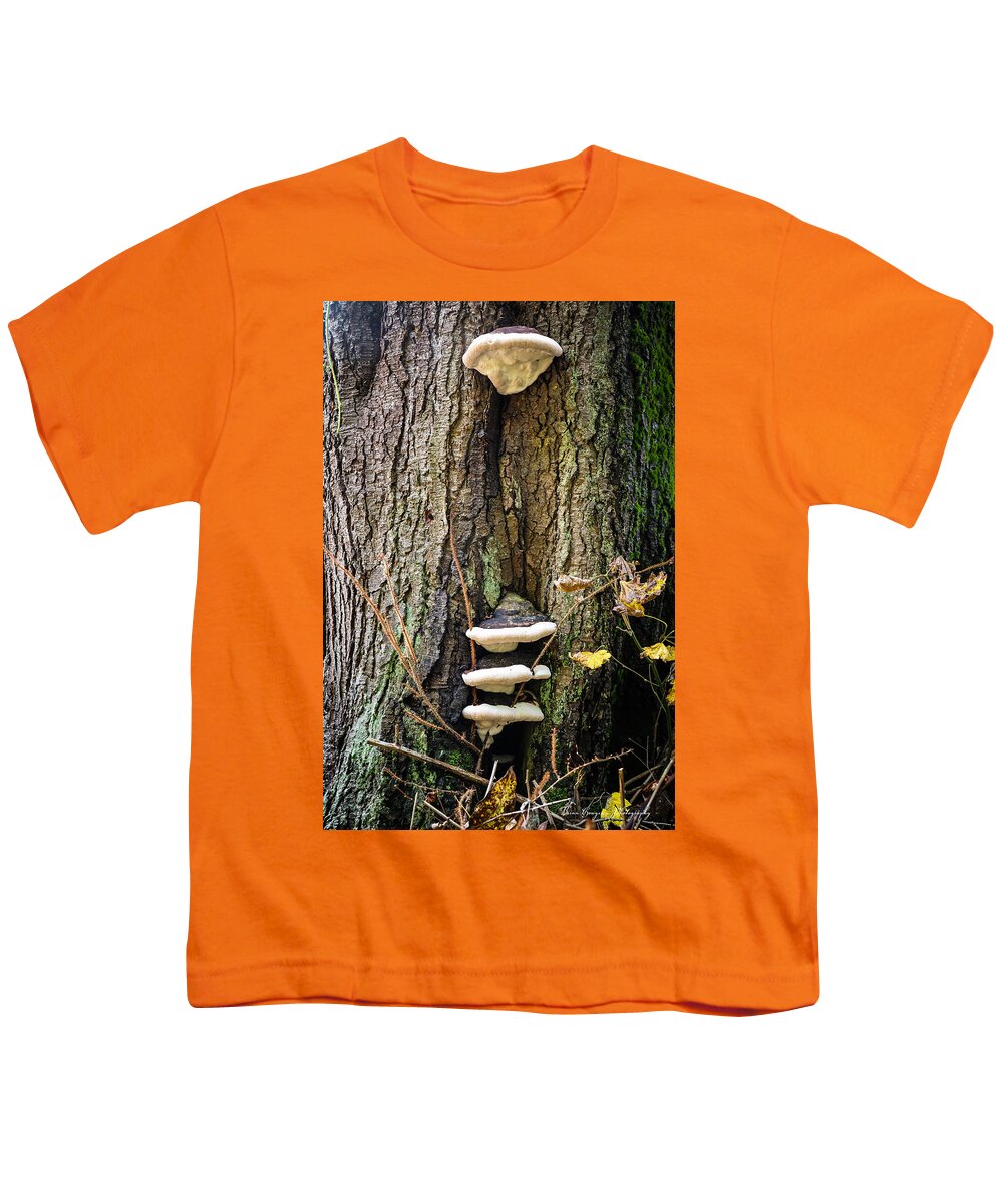 Mushrooms on the tree - Youth T-Shirt