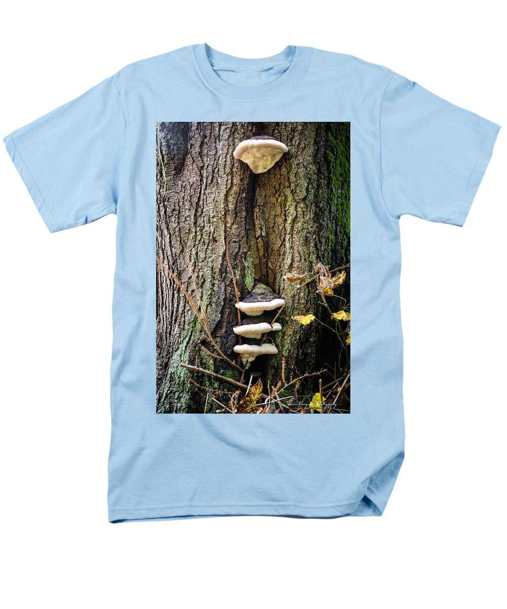 Mushrooms on the tree - Men's T-Shirt  (Regular Fit)