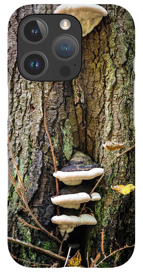 Mushrooms on the tree - Phone Case