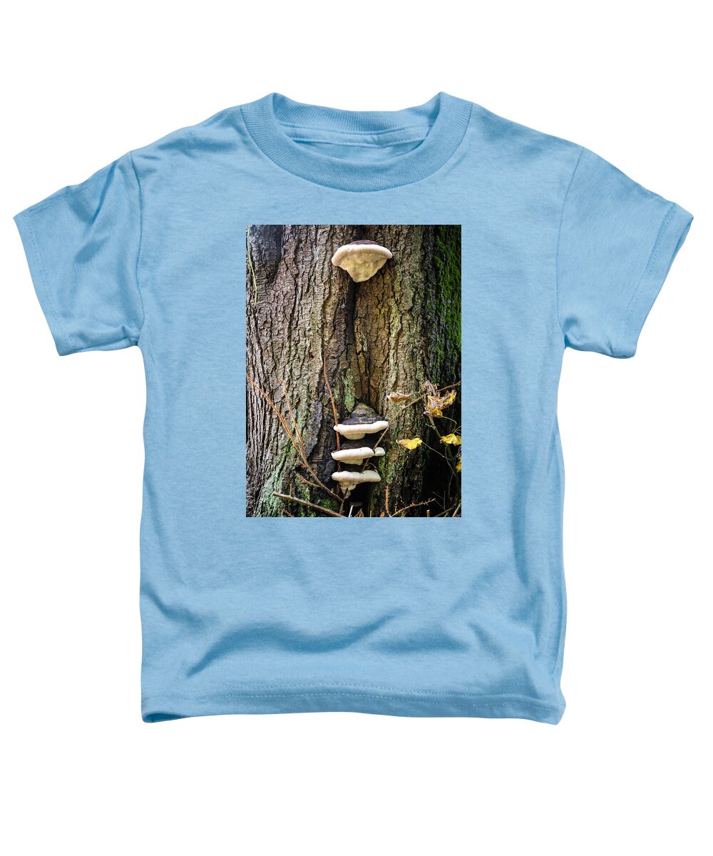 Mushrooms on the tree - Toddler T-Shirt