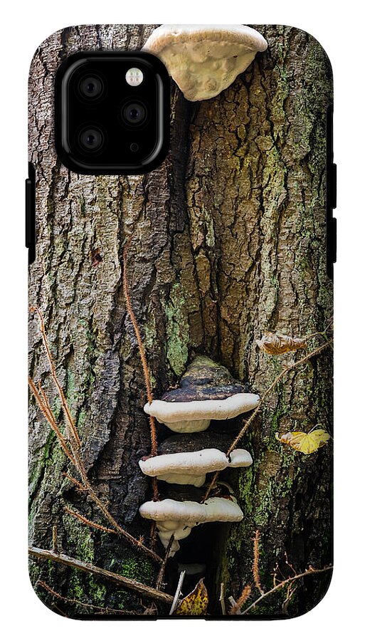 Mushrooms on the tree - Phone Case