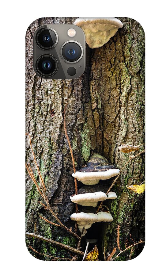 Mushrooms on the tree - Phone Case