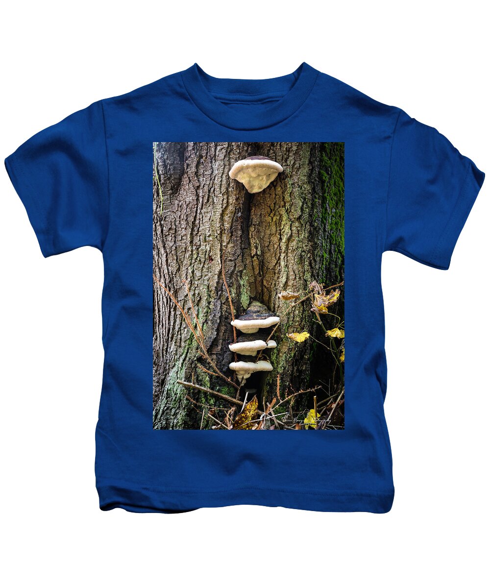 Mushrooms on the tree - Kids T-Shirt