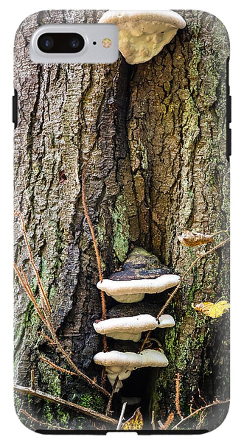 Mushrooms on the tree - Phone Case