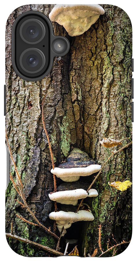 Mushrooms on the tree - Phone Case
