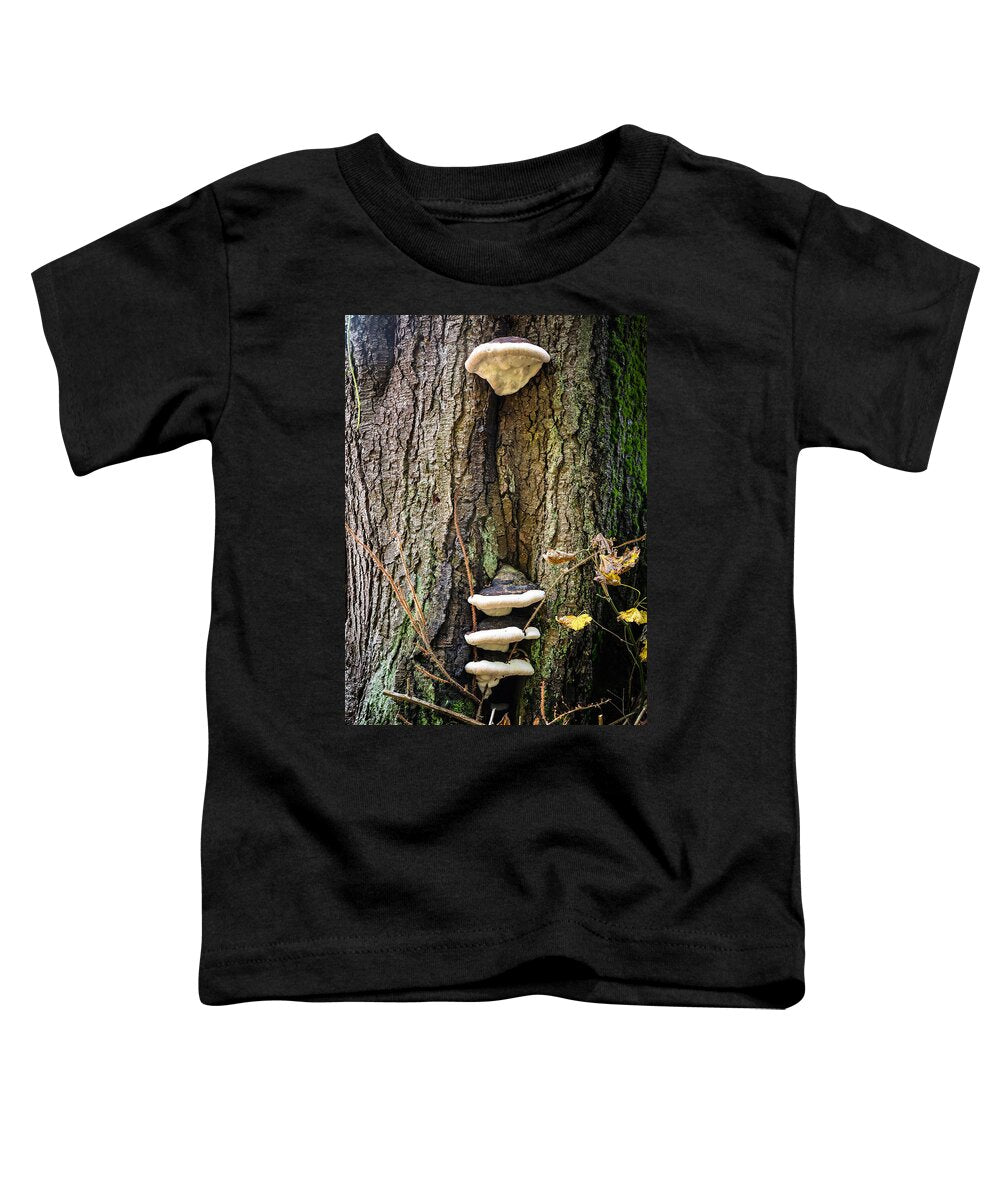 Mushrooms on the tree - Toddler T-Shirt