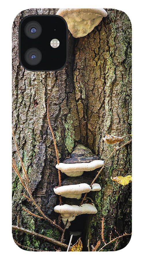 Mushrooms on the tree - Phone Case