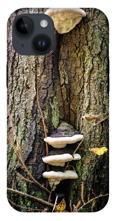 Mushrooms on the tree - Phone Case