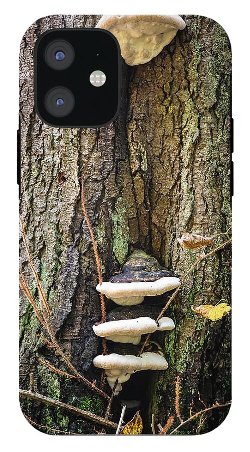 Mushrooms on the tree - Phone Case