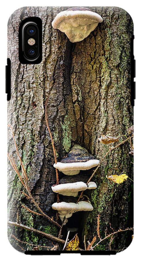 Mushrooms on the tree - Phone Case