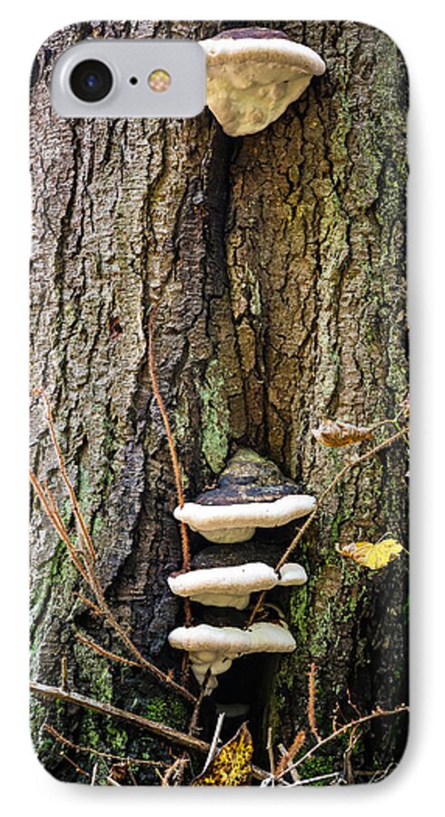 Mushrooms on the tree - Phone Case