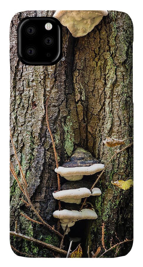 Mushrooms on the tree - Phone Case
