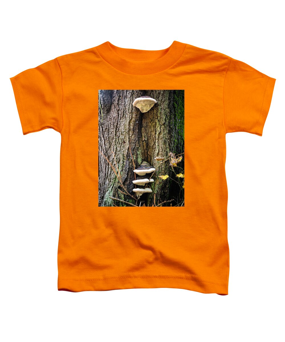 Mushrooms on the tree - Toddler T-Shirt