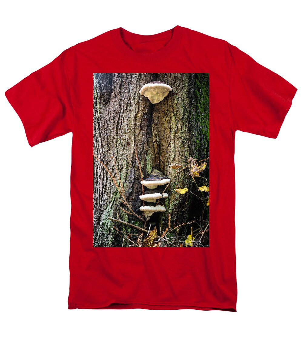 Mushrooms on the tree - Men's T-Shirt  (Regular Fit)