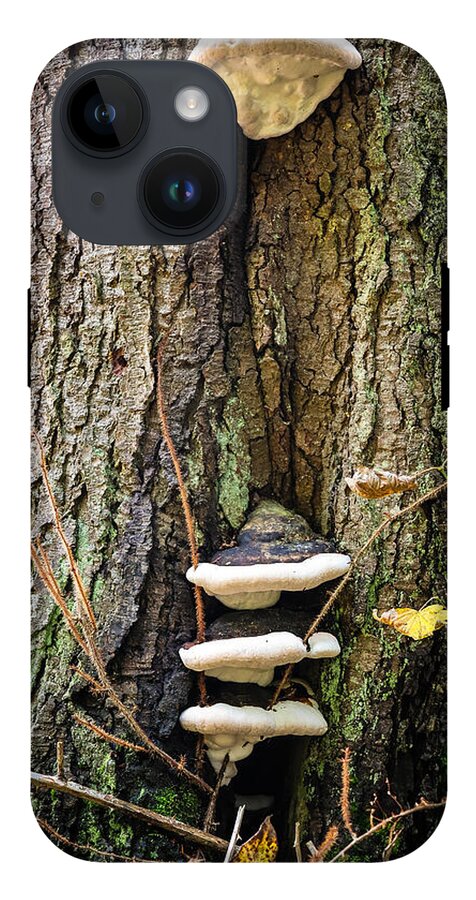 Mushrooms on the tree - Phone Case