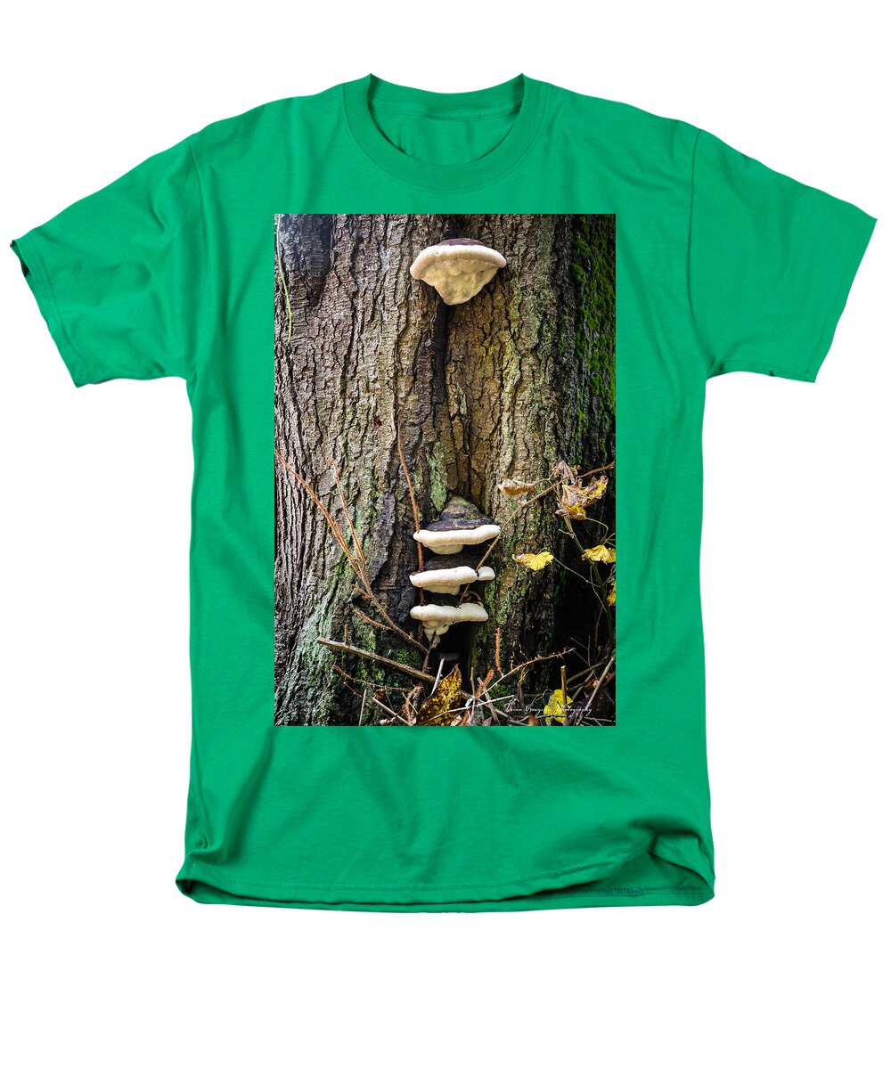 Mushrooms on the tree - Men's T-Shirt  (Regular Fit)