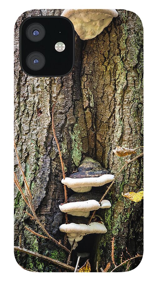 Mushrooms on the tree - Phone Case