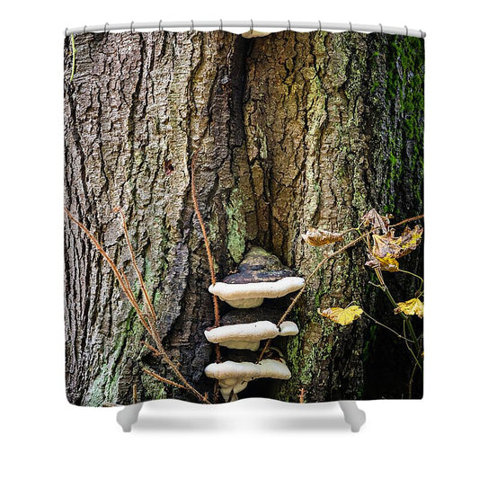Mushrooms on the tree - Shower Curtain