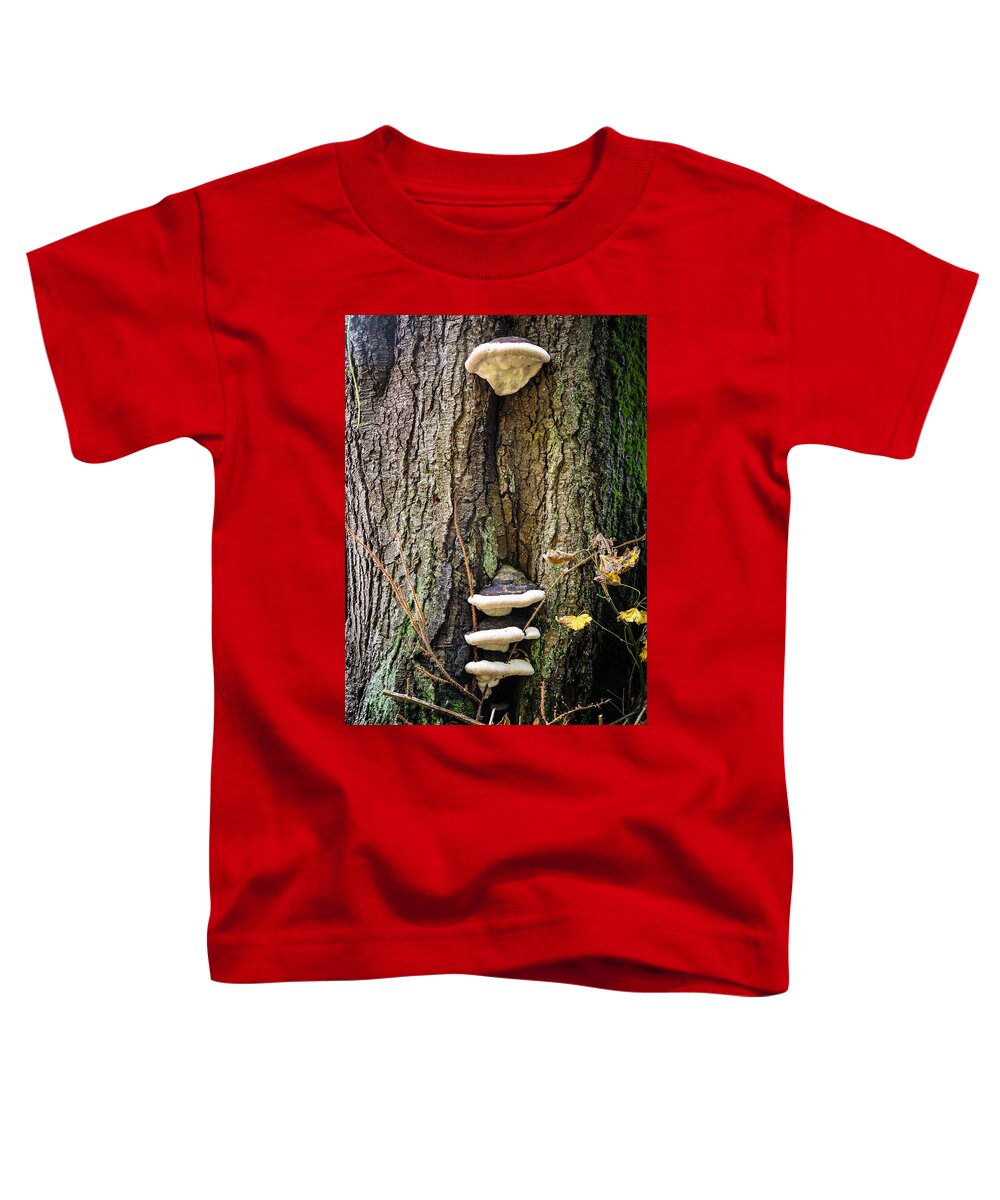Mushrooms on the tree - Toddler T-Shirt