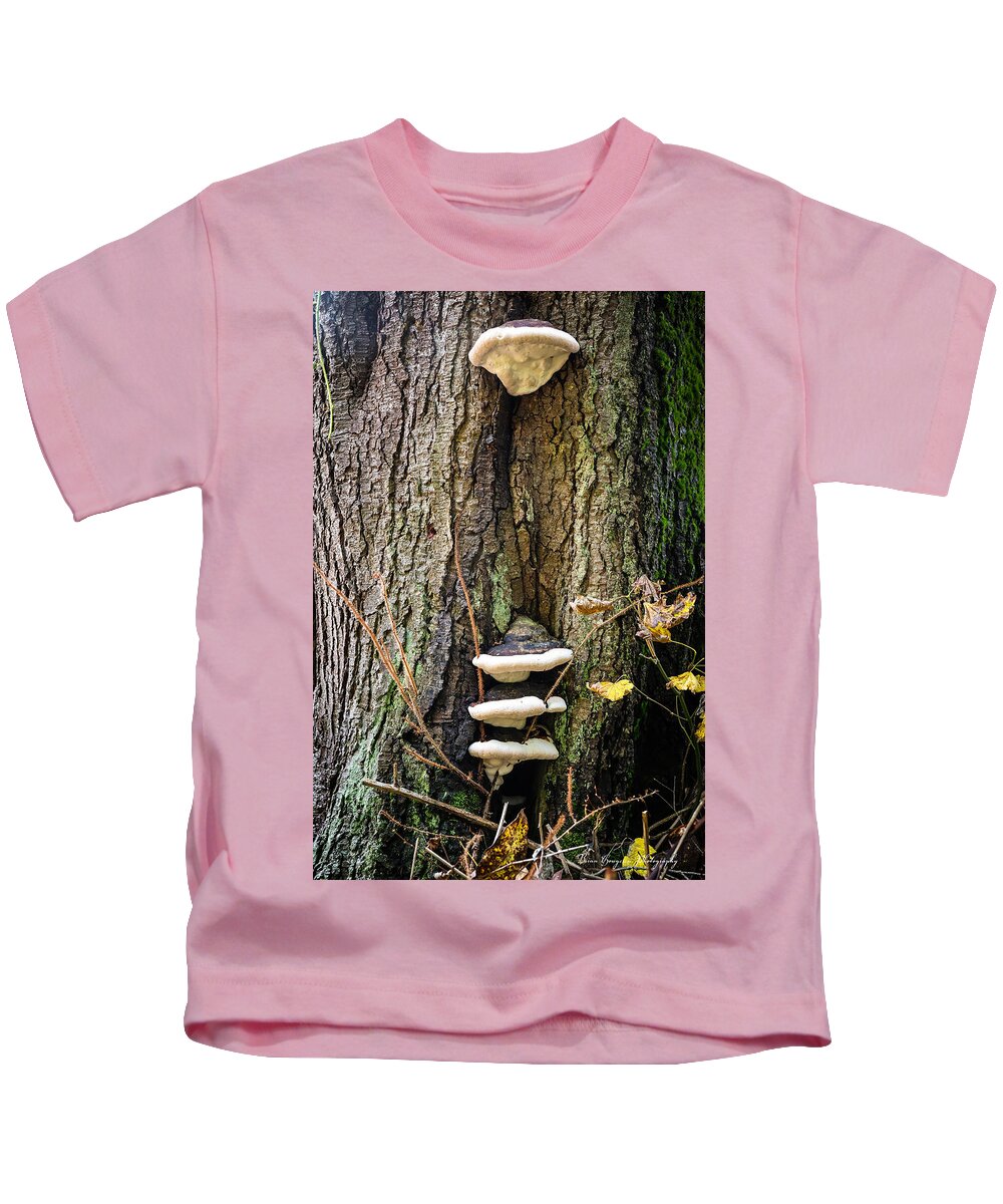 Mushrooms on the tree - Kids T-Shirt