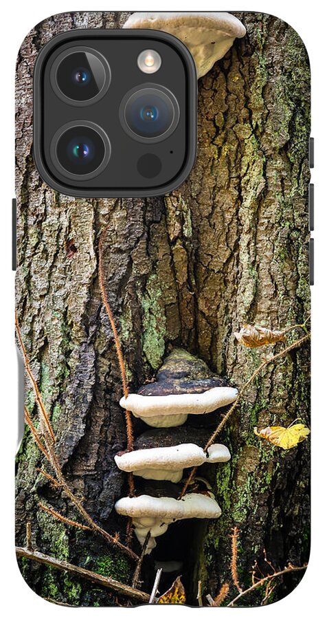 Mushrooms on the tree - Phone Case