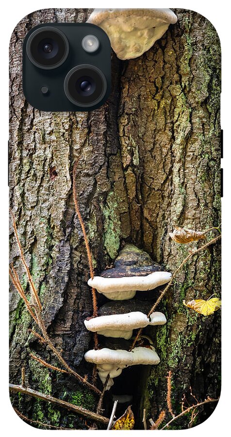 Mushrooms on the tree - Phone Case