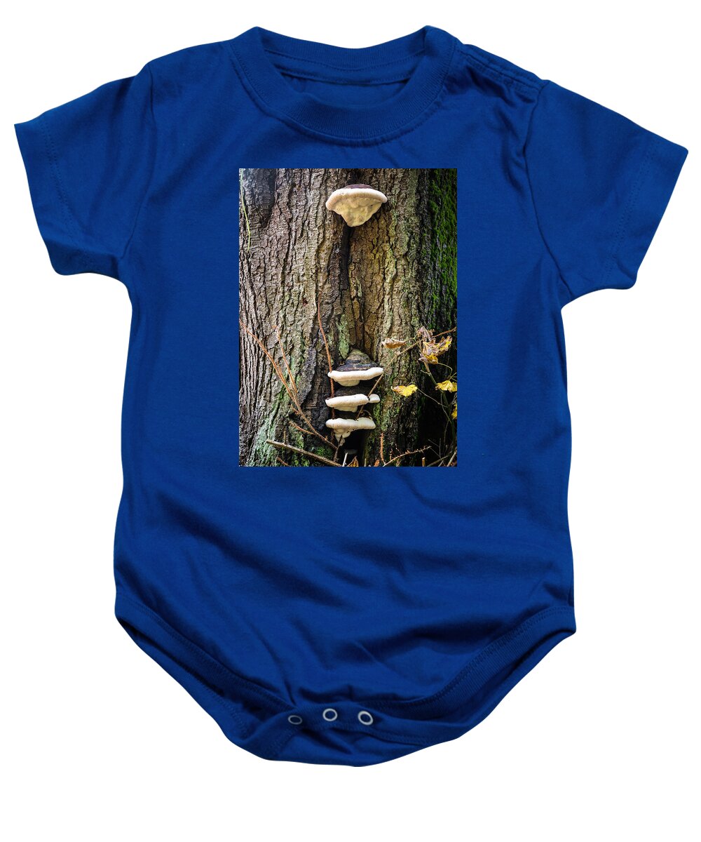 Mushrooms on the tree - Baby Onesie