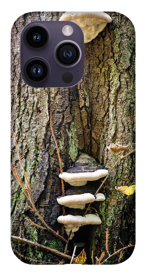 Mushrooms on the tree - Phone Case