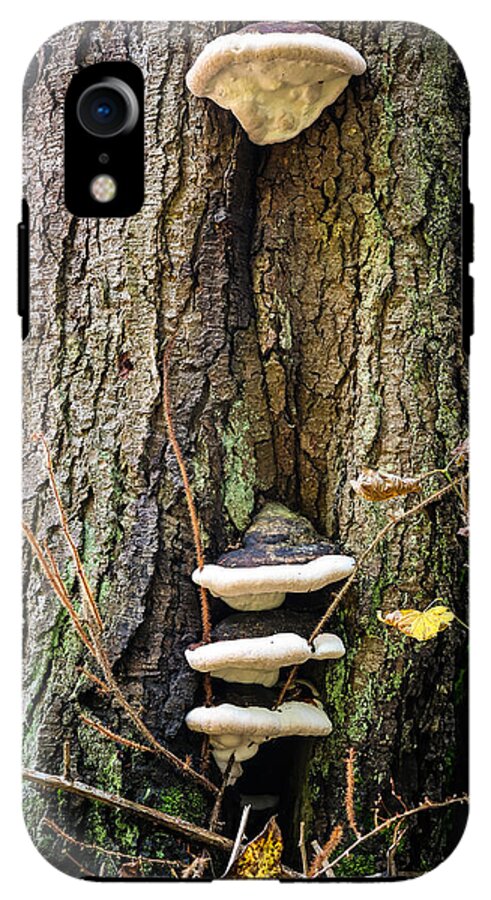 Mushrooms on the tree - Phone Case