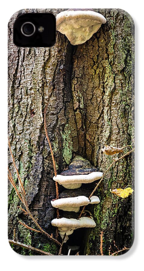Mushrooms on the tree - Phone Case