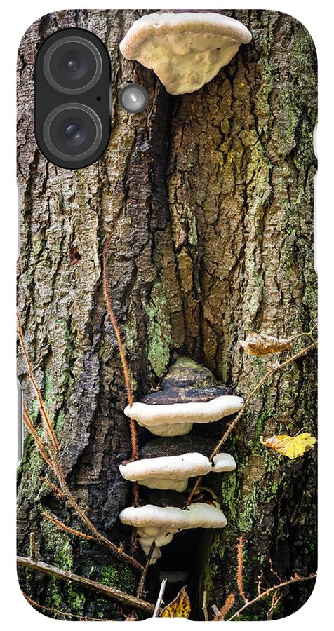 Mushrooms on the tree - Phone Case