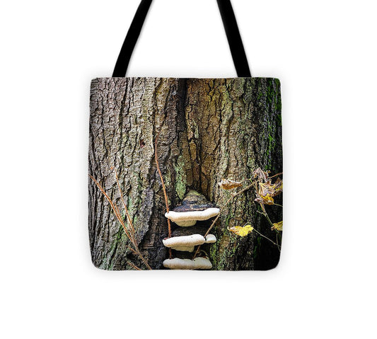 Mushrooms on the tree - Tote Bag