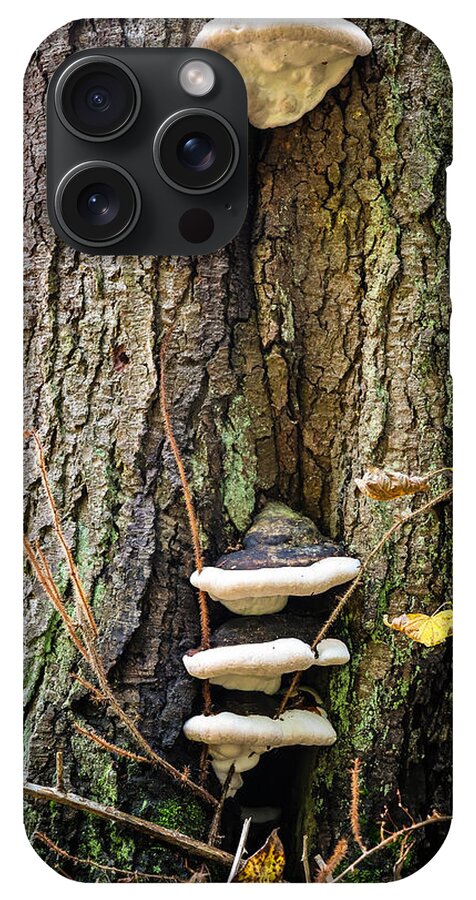 Mushrooms on the tree - Phone Case