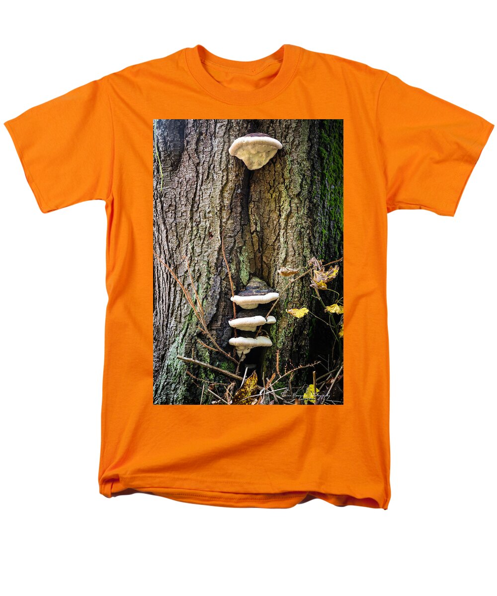 Mushrooms on the tree - Men's T-Shirt  (Regular Fit)