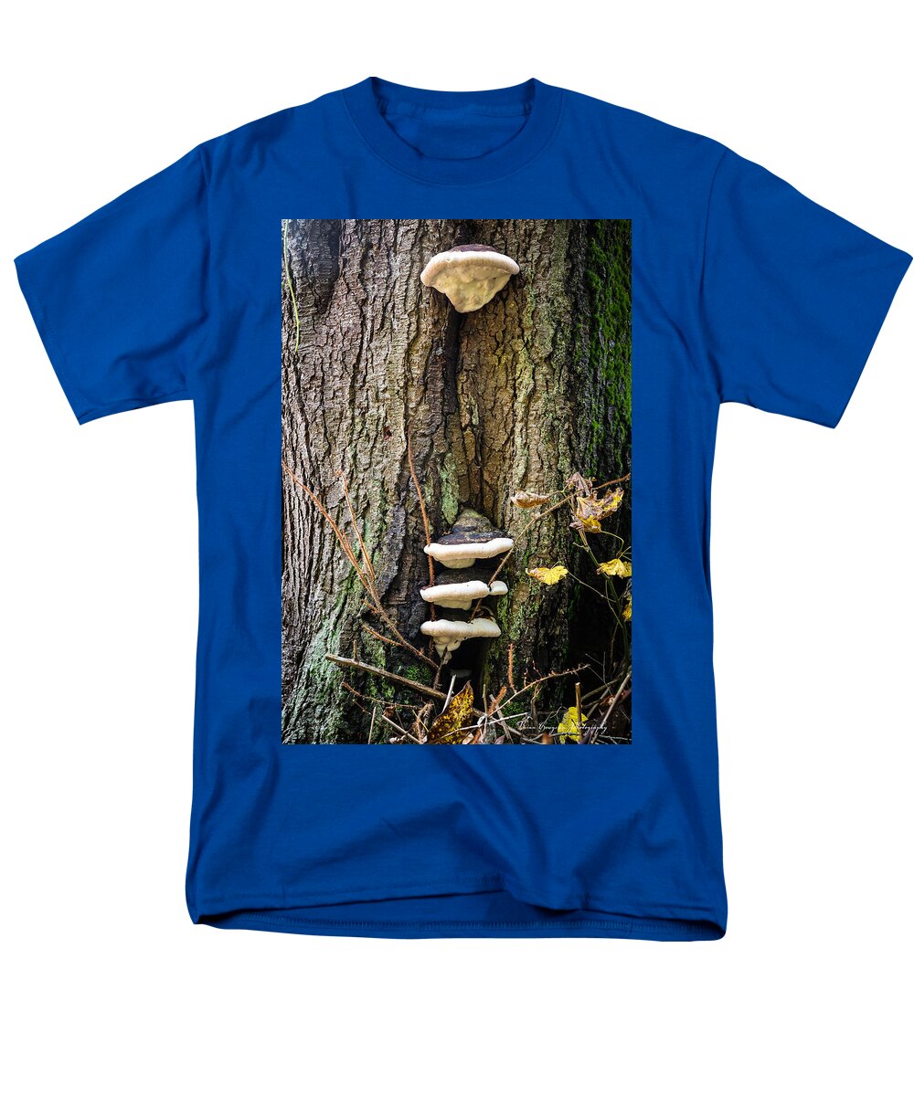 Mushrooms on the tree - Men's T-Shirt  (Regular Fit)