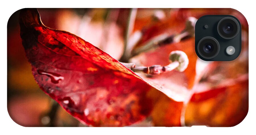 Red leaves  - Phone Case