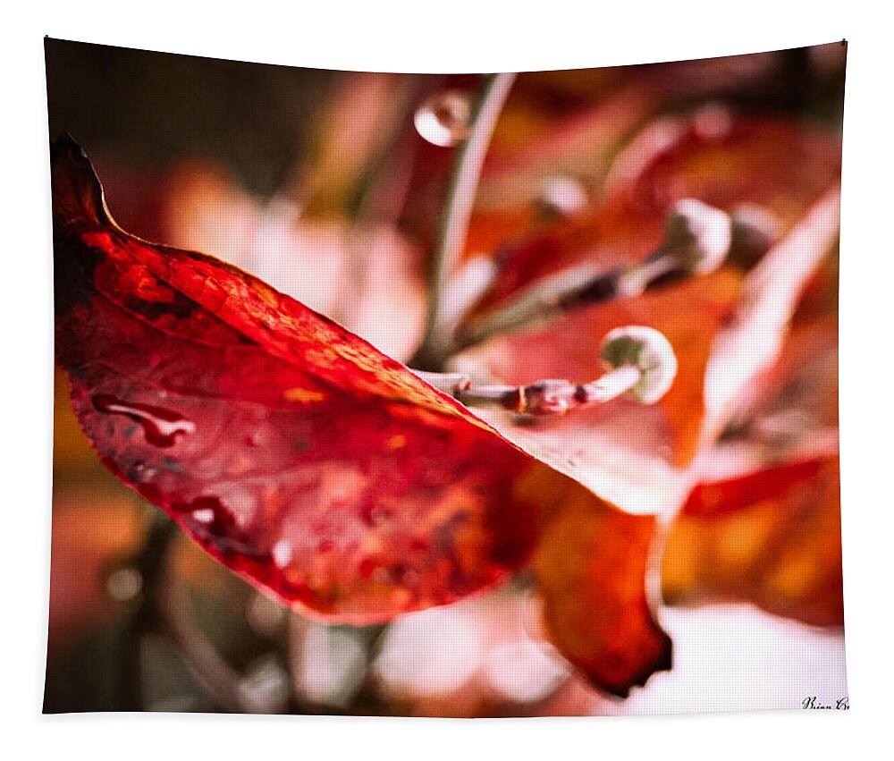 Red leaves  - Tapestry