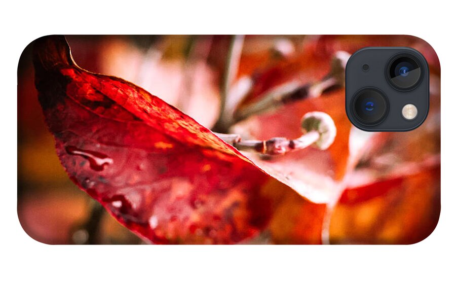 Red leaves  - Phone Case