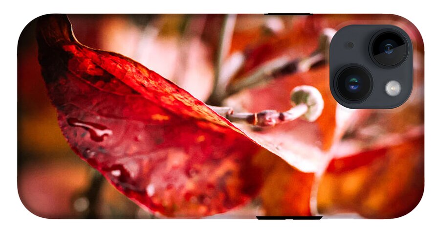 Red leaves  - Phone Case