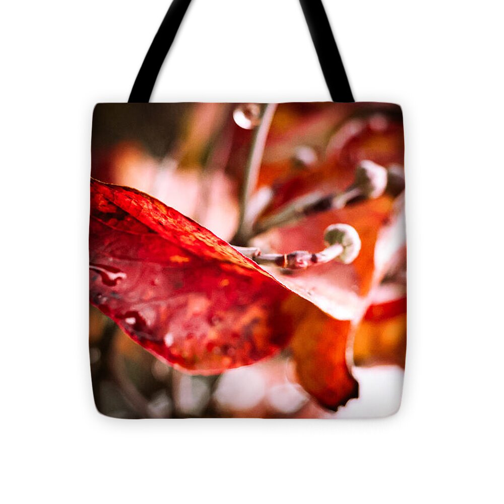 Red leaves  - Tote Bag