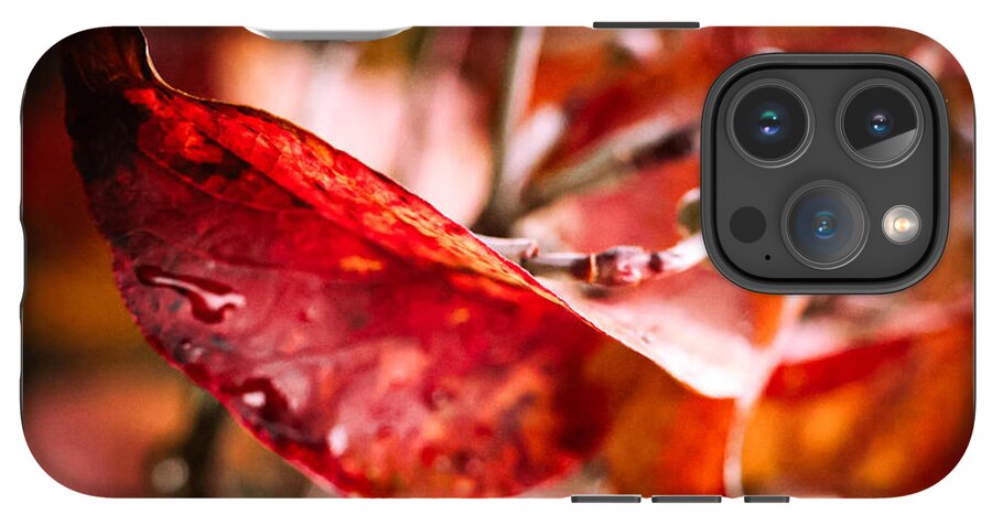 Red leaves  - Phone Case