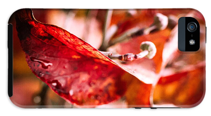 Red leaves  - Phone Case