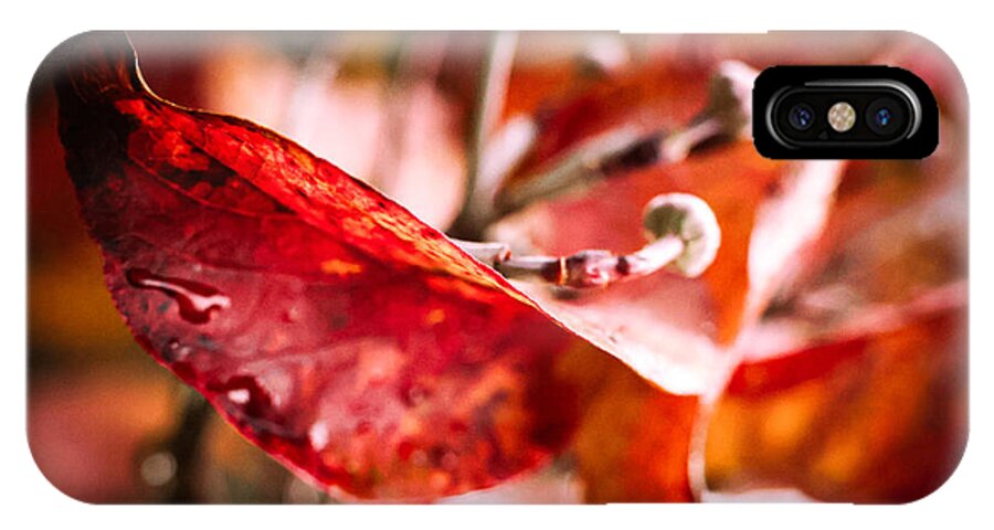 Red leaves  - Phone Case