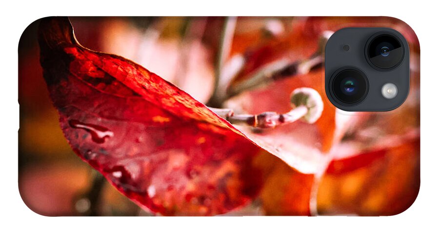 Red leaves  - Phone Case