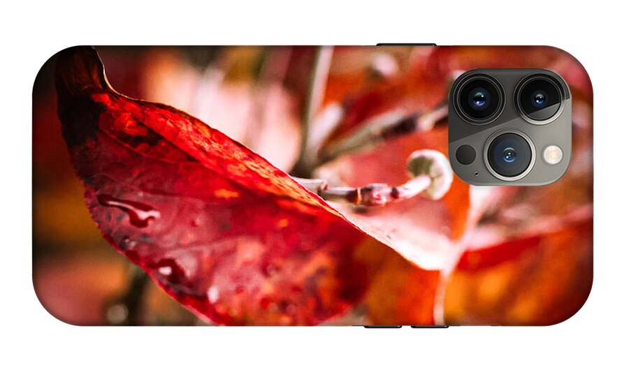 Red leaves  - Phone Case