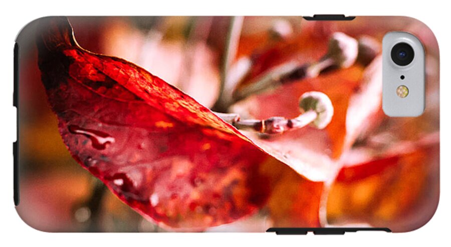 Red leaves  - Phone Case
