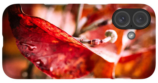 Red leaves  - Phone Case